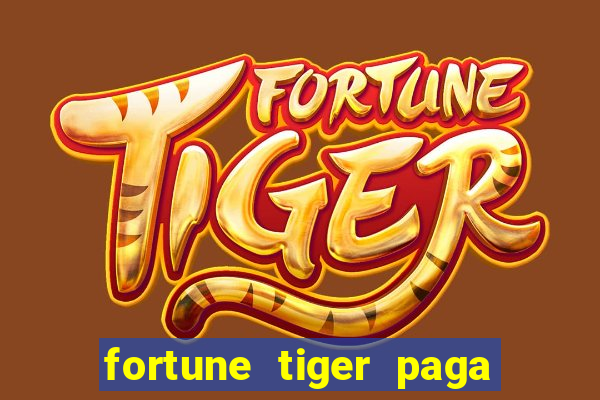 fortune tiger paga de madrugada